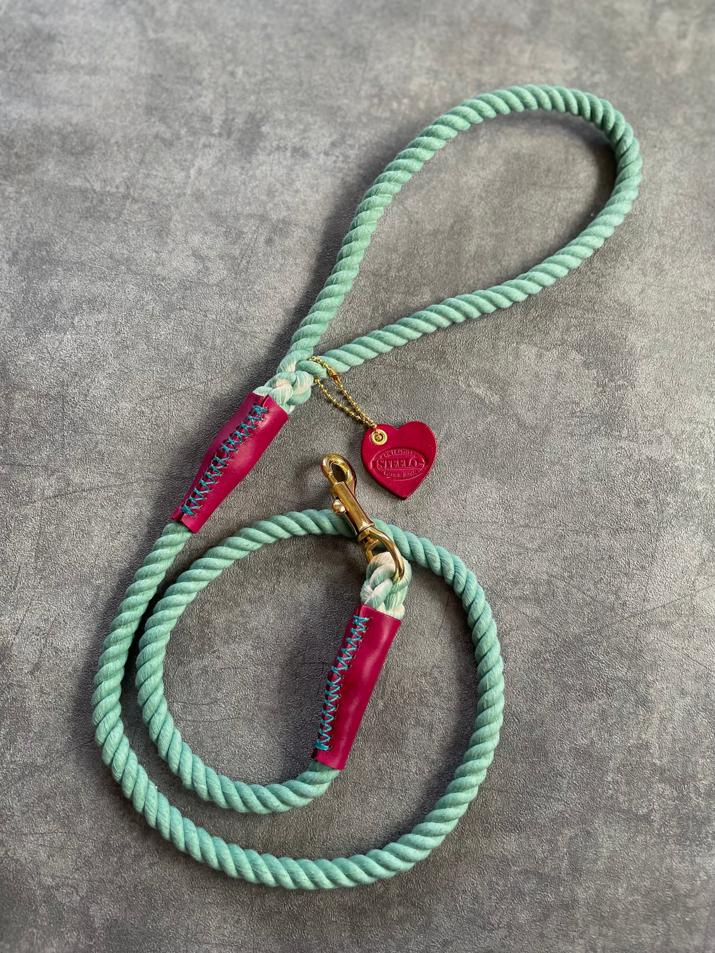 CASUAL ROPE LEAD/太さ9mm/15kg迄