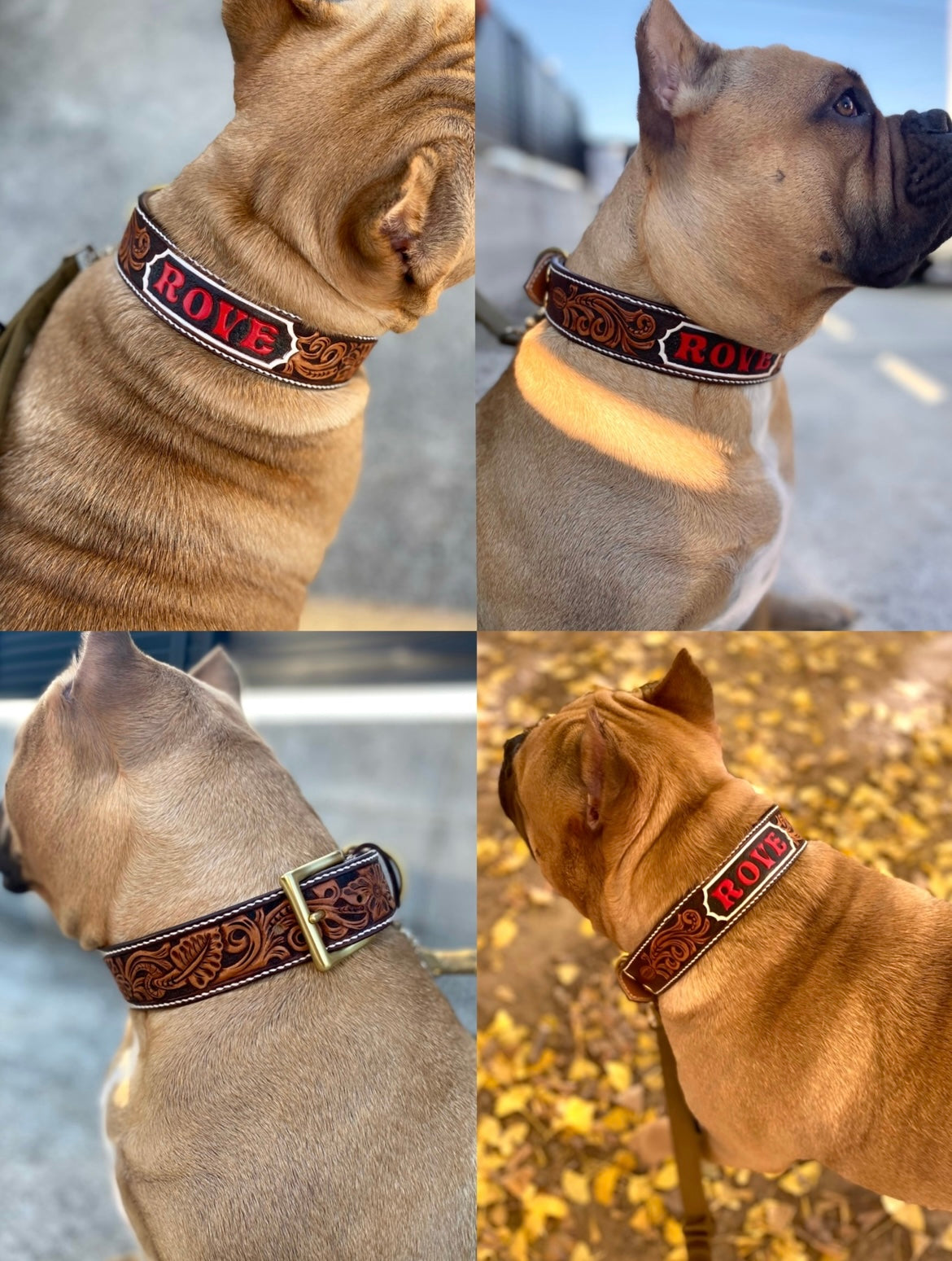 幅30mm〜WESTERN Style /お見積り確認用/SEMI-ORDER COLLAR