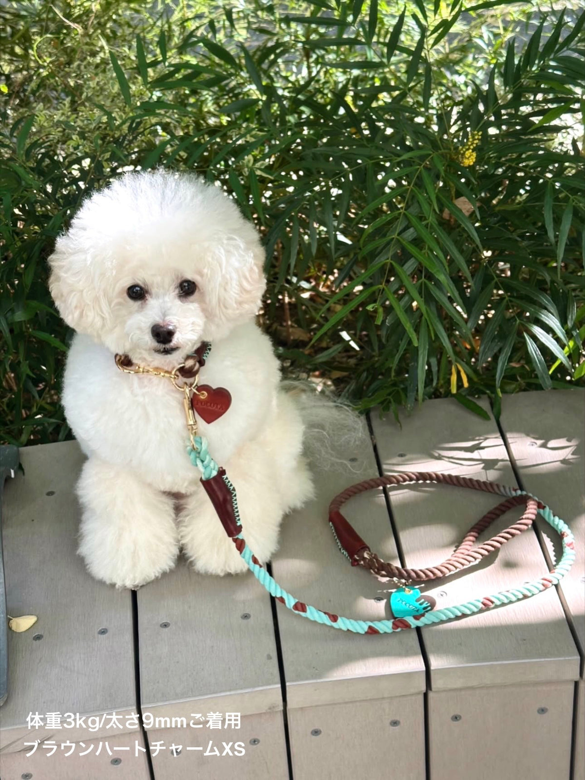 CHOCO MINT ROPE COLLAR - MINT