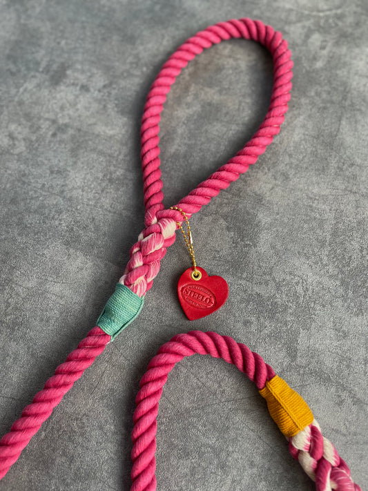 CASUAL ROPE LEAD/太さ12mm/20kg迄