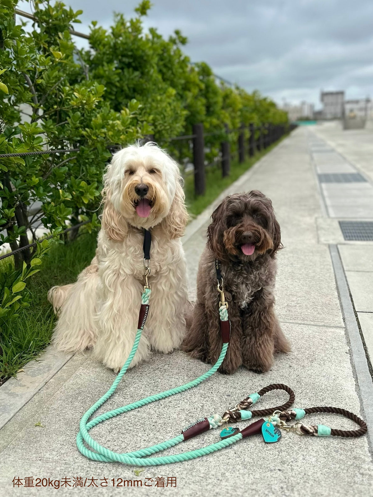 CHOCO MINT ROPE COLLAR - MINT