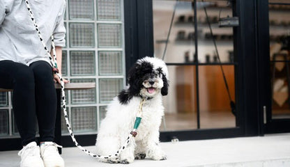 牛柄 2WAY ROPE LEAD