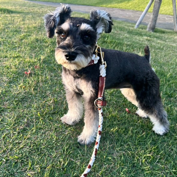 牛柄 2WAY ROPE LEAD