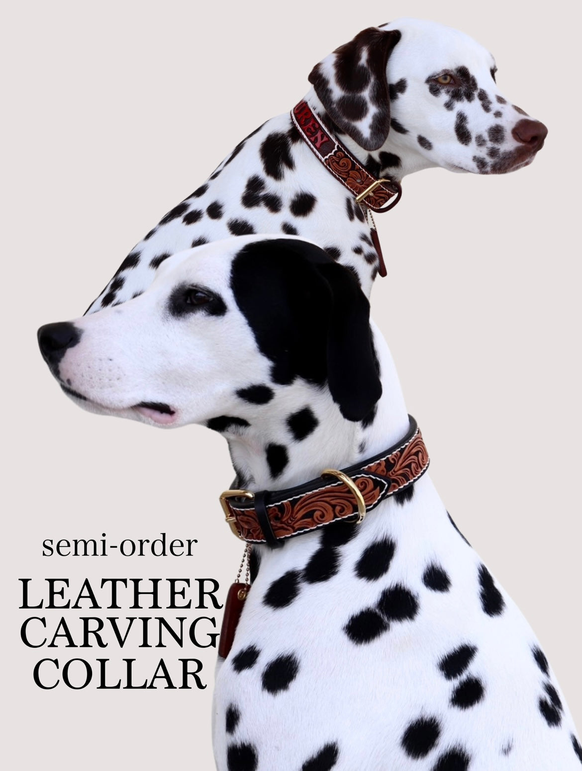 犬用リード・ロープリード・レザー首輪のオーダーメイド|【 STEELO